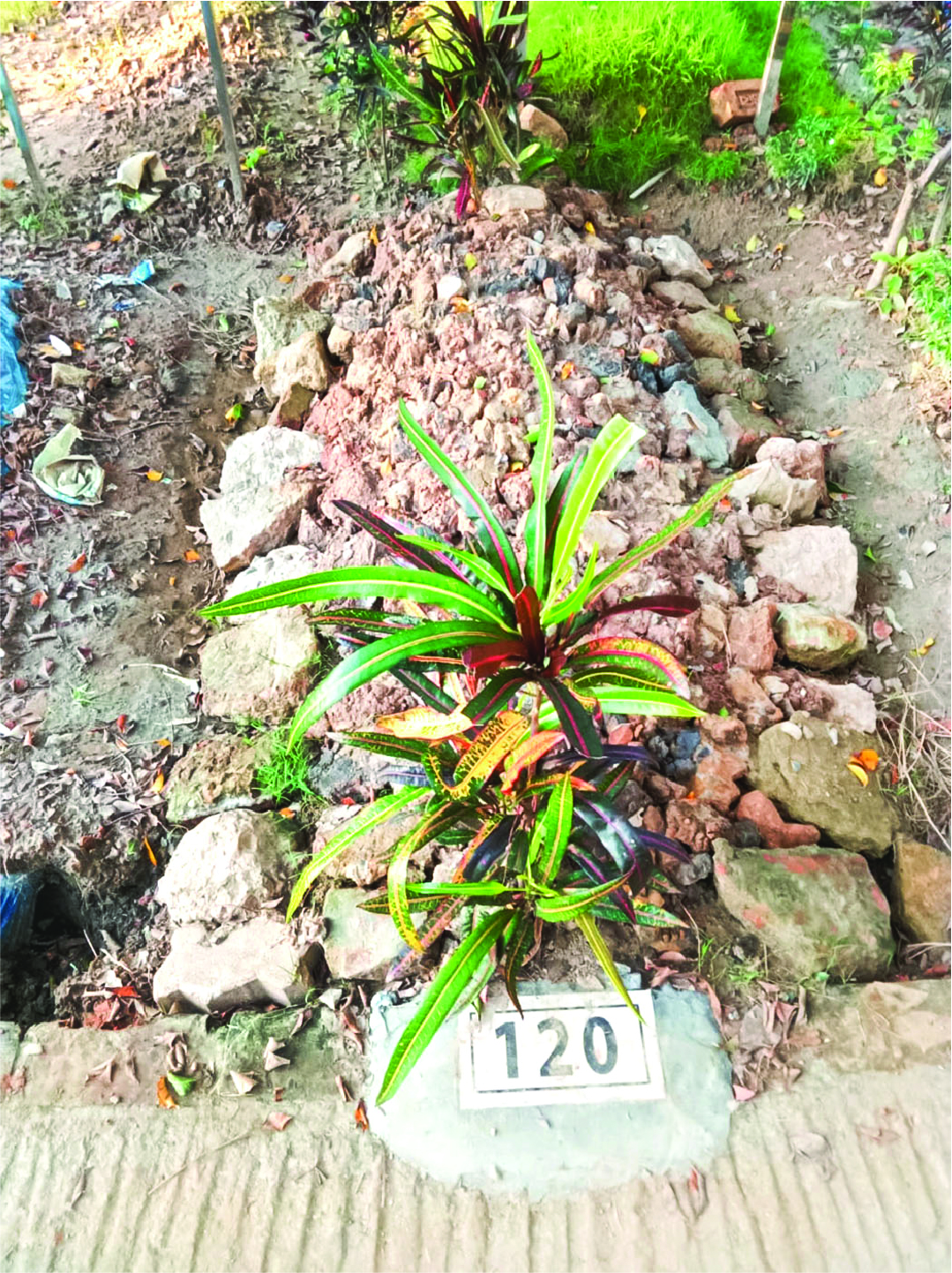 Image of মো: মিরাজুল ইসলাম অর্নব